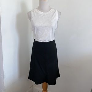The Limited- A-line Skirt